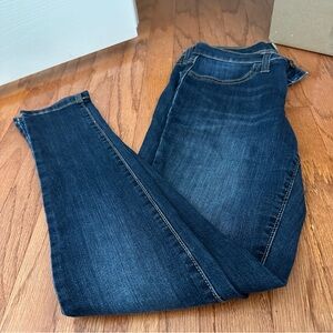 Banana Republic Skinny Jeans